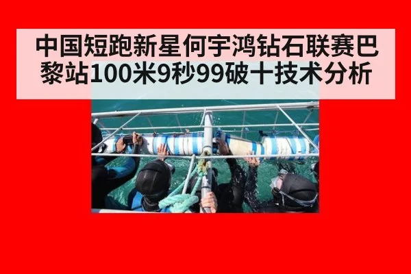 中国短跑新星何宇鸿钻石联赛巴黎站100米9秒99破十技术分析